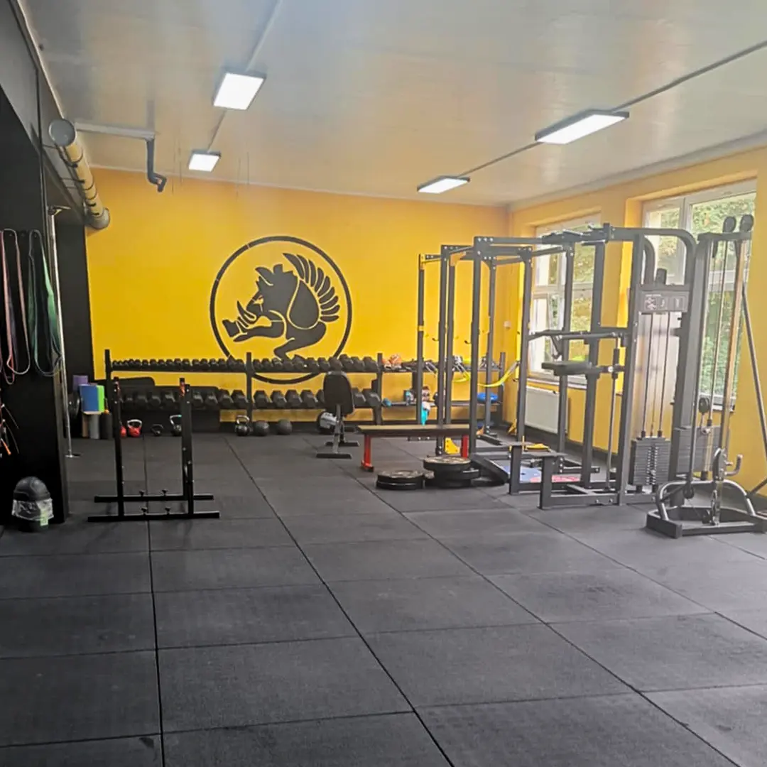 Antishock-Gummimatte in einem kommerziellen Fitnessstudio – Elevate Realisierung